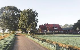 Erve Immink